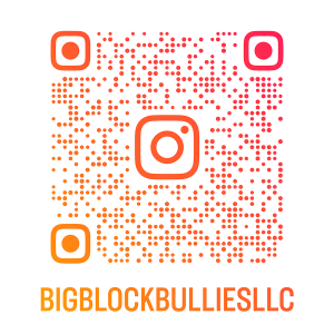 Big Block Bullies on IG